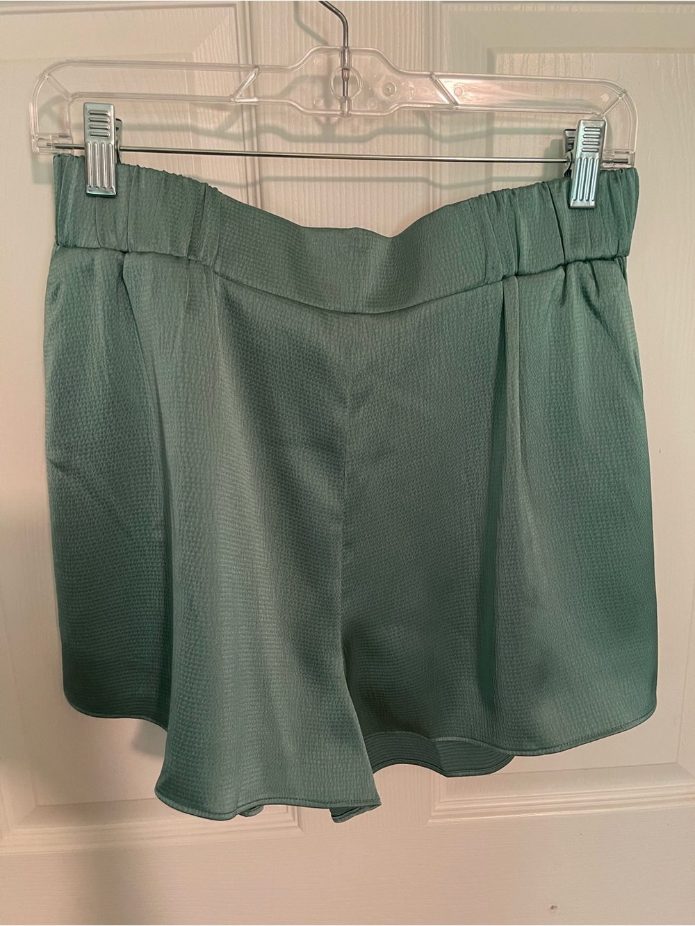 Naked Zebra Aqua Blue/Green High-Waist Elastic Waistband Shorts.